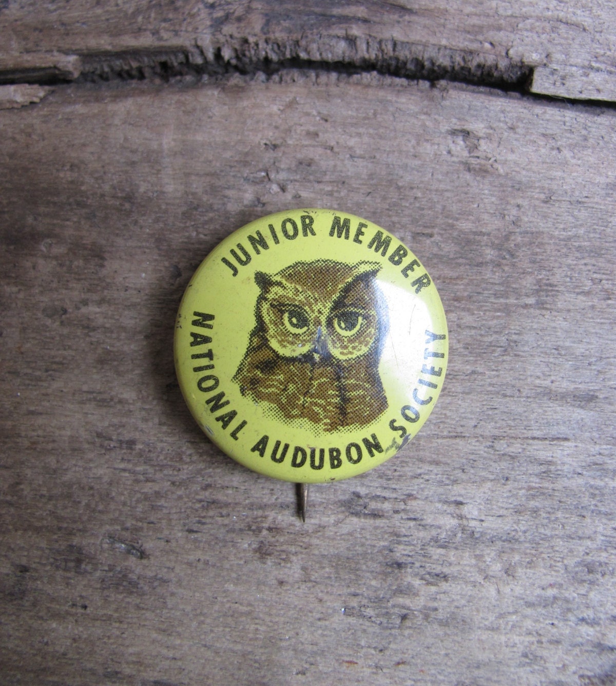 vintage c. 1940s National Audubon Society Junior Member lapel pin with owl