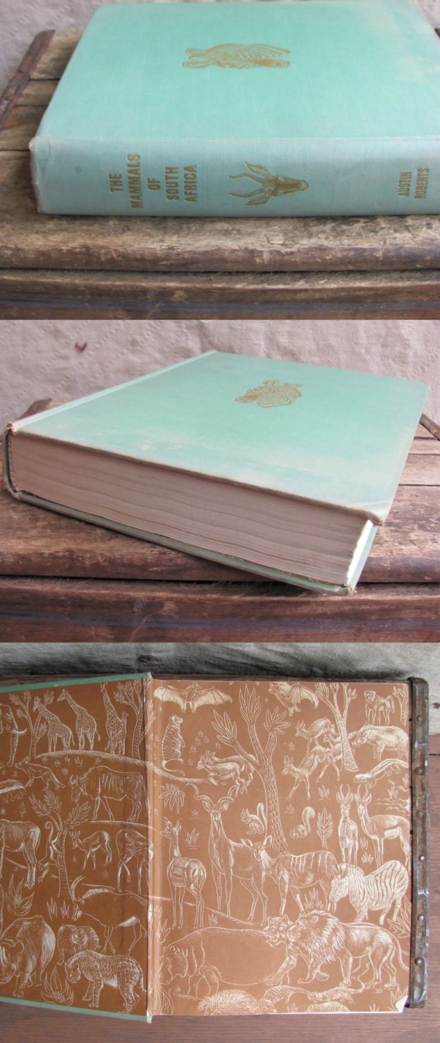 SALE // vintage 1950s zoology book // "The Mammals of South Africa" by Austin Roberts