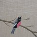 in the air 4 // original bird painting on linen canvas // contemporary art by natasha newton