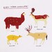 even-toed ungulates ANIMAL CHART