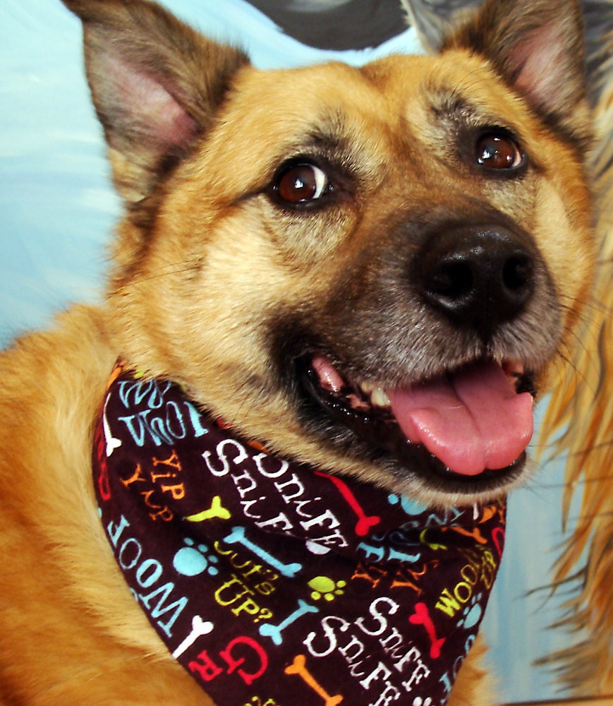 Dog Bandana Dark Brown bright colors Woof Woof Sniff paw prints bones