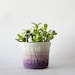 new for 2013 - felted wool ombre planter - from grey to grape - plant pot cozy - office decor gifts for gardeners spring preview