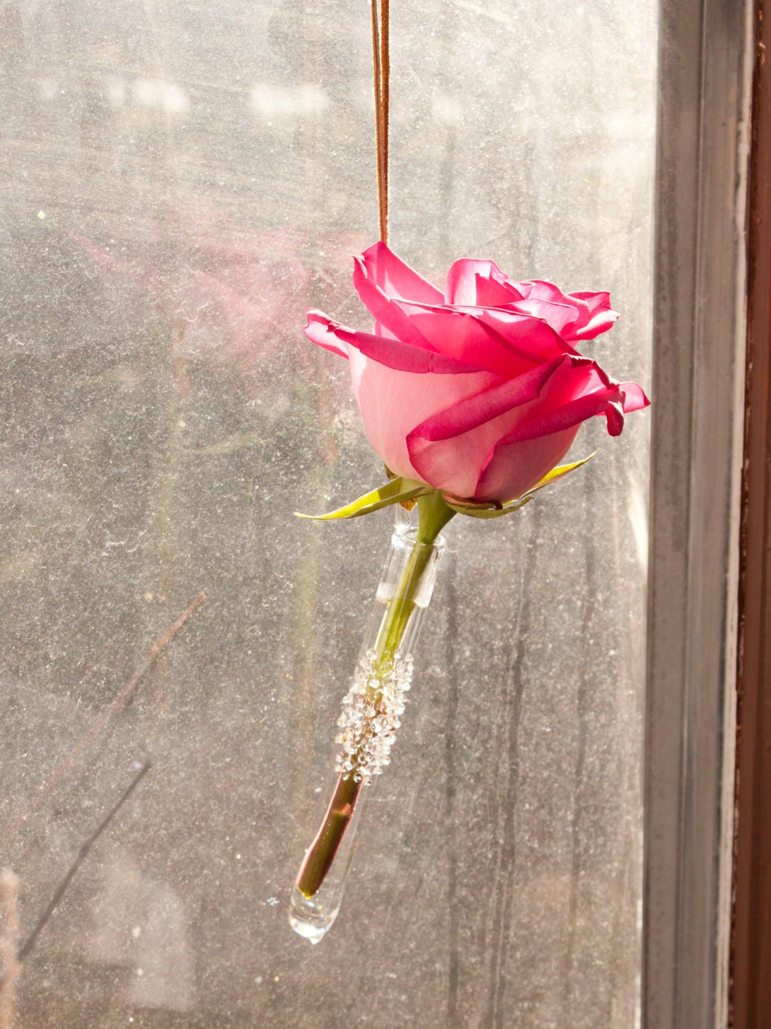 Glass Hanging Glass Vase No. 3
