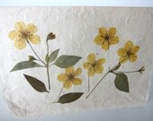 Pressed Flower Card Yellow Penstemon Blank Greeting Card