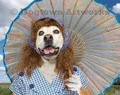 Sun Dog, 11 X 14 matted photograph of Boxer dog mix holding a parasol