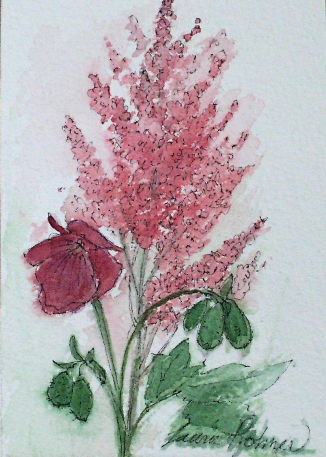 Garden Nature Art Astilbe Geranium Watercolor Original Painting by Laurie Rohner