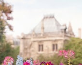 Paris Photography - The Gardens at Notre Dame, Fine Art Travel Photograph, French Wall Decor