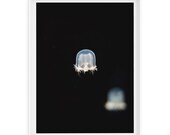 Chicago 5 (Jelly Tophat) // 8x10 Fine Art Giclée Print // Photography