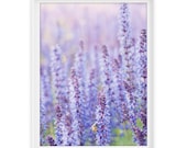 Chicago 8 (Bee) // 8x10 Fine Art Giclée Print // Photography