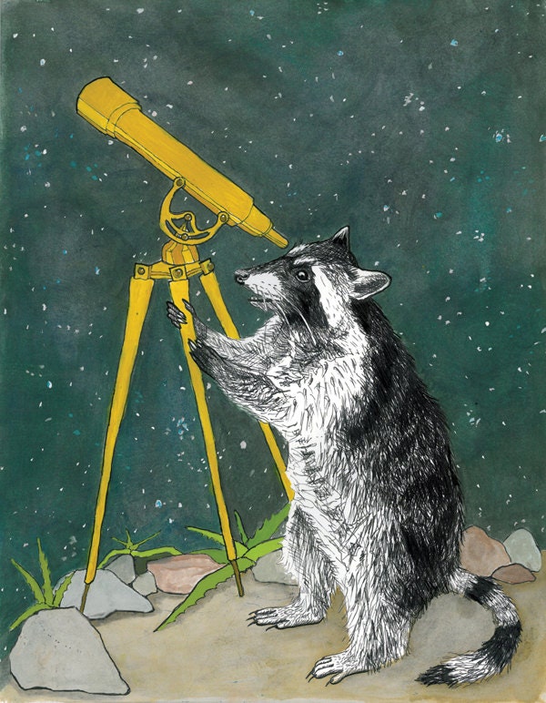 Raccoon - Animal Messengers - Small Print