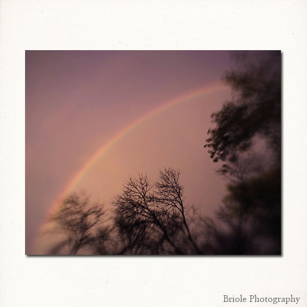 Landscape Photograph, Rainbow 8"x10" Fine Art Print. Nature Photography, Tree, Purple, Black, Wall Art, Home Decor.