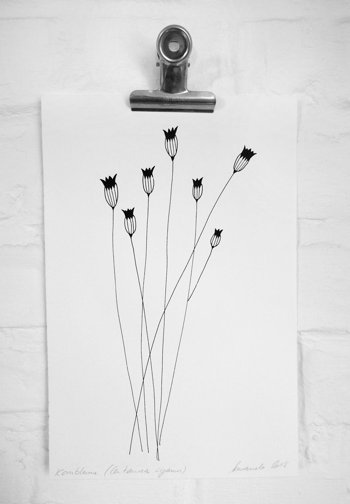 Botanical Print: Cornflower on handmade paper