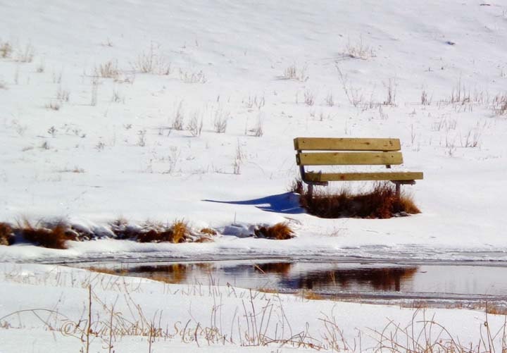 Winter Art - Peaceful - New Mexico  - Fine Art - Wall Decor 8x10 Photograph