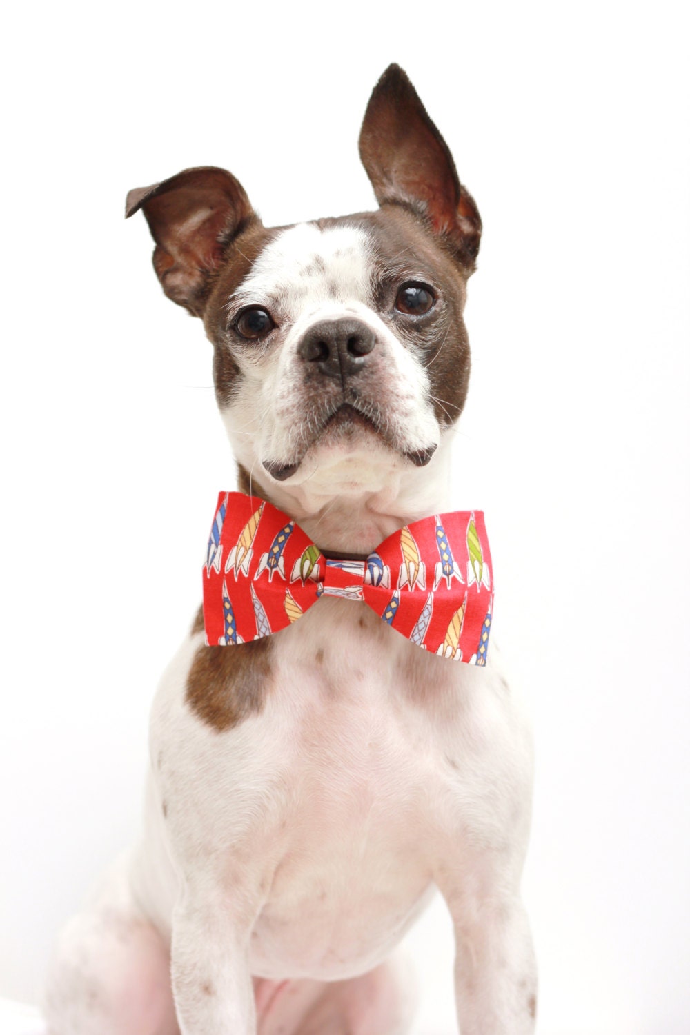 Rocket Ship Dog Bow Tie