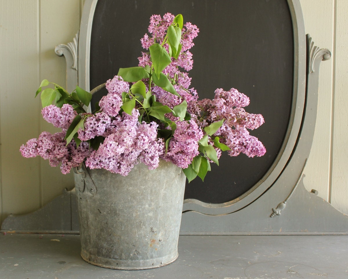 Antique Heavy Zinc Bucket Pail