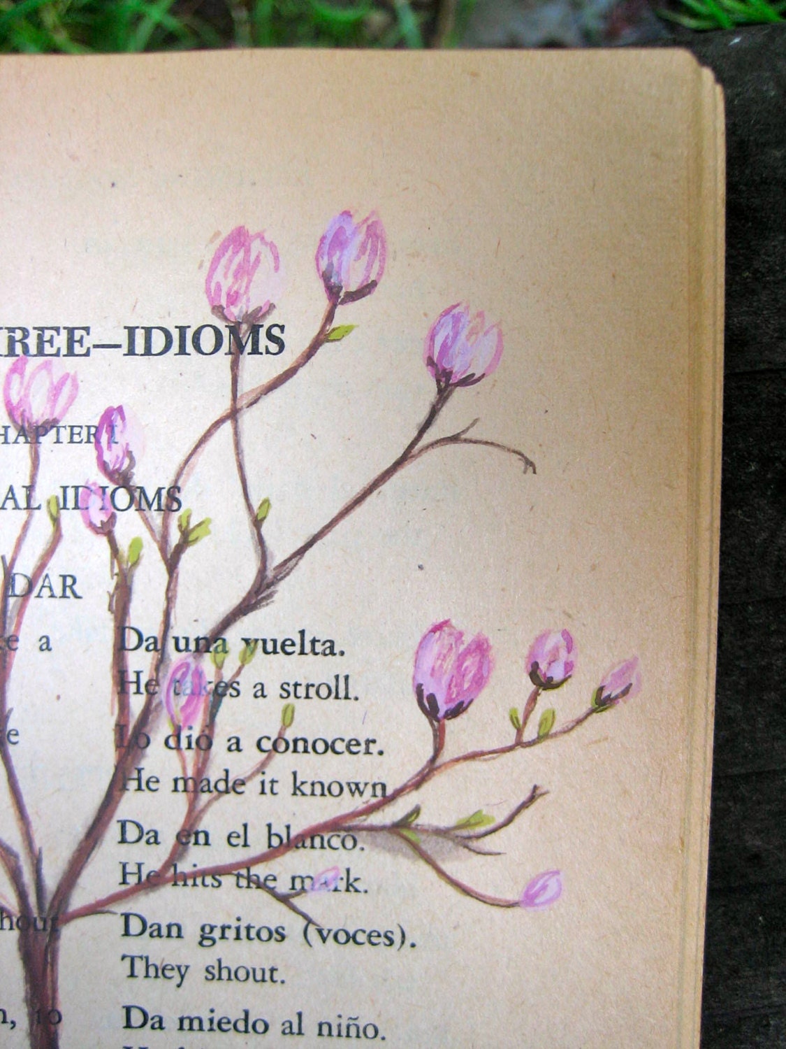 Pink Magnolia (watercolor)