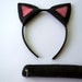 Wool Felt Black Cat Costume- Adult Size