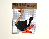 Ostrich - Paper Doll