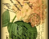 Vintage Mixed Media Art: Vintage Flower 106, 8x10 print - Folk Art, Vintage art, postcard art, botanical art, flower art, hydrangea
