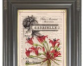 Vintage French ad Red green flower printed as dictionary page art print on old antique recycled dictionary book page Item No. 559