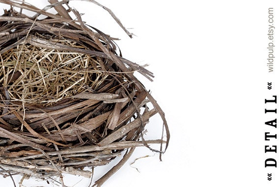 Nest Photograph : nursery decor, nature inspired wall art - 8x10 eco friendly, archival print of hand-built 'nest' sculpture