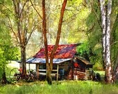 Shed with red roof - woodland landscape - beautiful nature - Blue Ridge Mtns Junaluska Rd - matted to 11x14 ready to frame