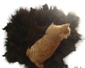 Sheep-friendly  Felted  Fleece Rug Wool Pet Bed - Navajo Churro Black