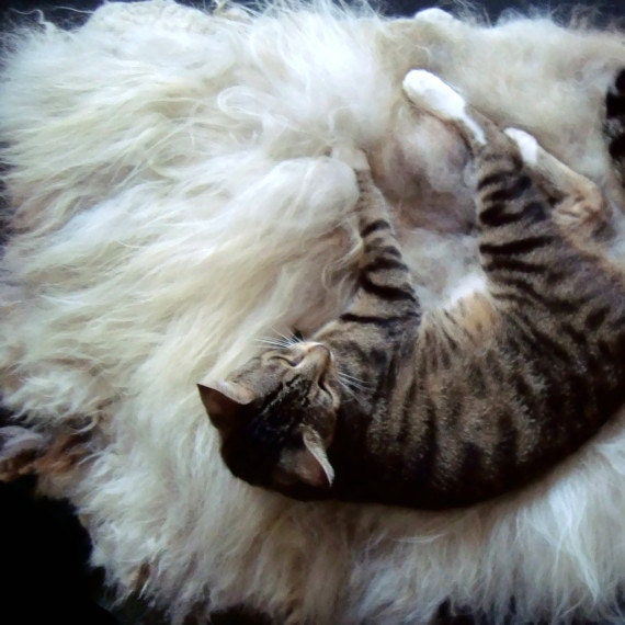 Cat Bed Sheep-friendly Wool Fleece Felted Rug - Navajo Churro White