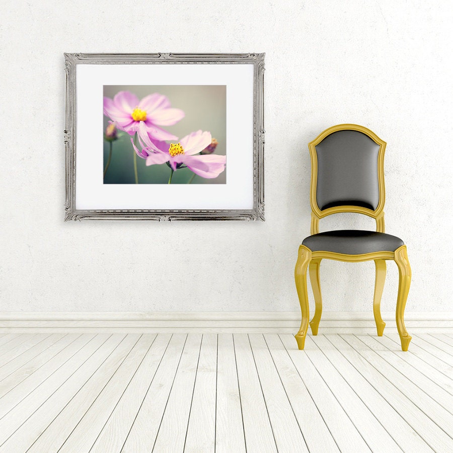 flower photograph pink cosmos fine art photography wall decor garden nature photo floral