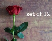 Lip Balm Set - Set of 12 Lip Balm Tubes Your Choice, Bridesmaid Gift, Wedding Favor, Stocking Stuffer