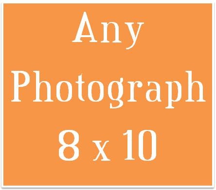 Any Photograph 8x10 Print