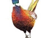 Original A3 pheasant "Lording it Up"  Mixed Media Painting