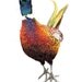 Original A3 pheasant "Lording it Up"  Mixed Media Painting