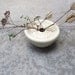 The Ikebana Vase