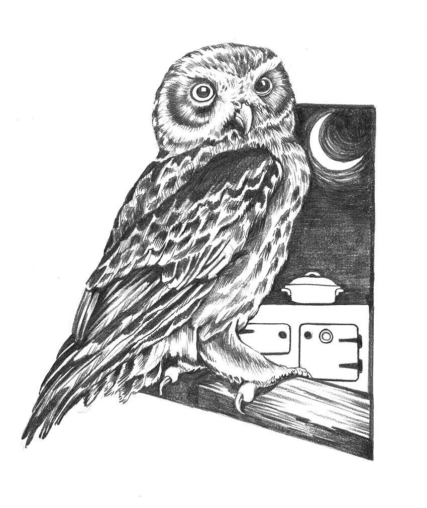 Boobook Owl - original graphite wildlife study