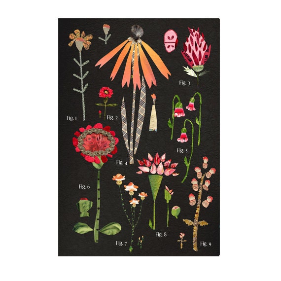 large botanical chart, red orange variations, mixed media print