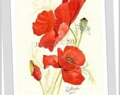 RED POPPY 1 - Original Watercolor Painting  by Jamie Dauch Michigan artist