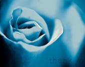 Thank You Card - Digital Download - Blue Rose Instant Download Printable Nature Photography Image
