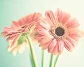 Love photography,  Spring decor, nursery art, mint, nursery decor, nursery prints, spring, love, photography, retro, vintage, pastel, flower