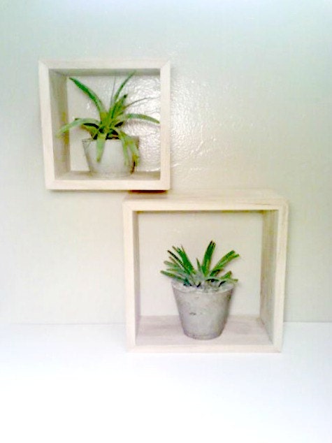 TWO Shadow Box Picture Frames, Rustic Picture Frames, Succulent Planters, Air Plant Holders, Concrete Vases