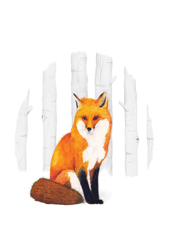 Fox in the woods Illustration - Archival Print 8x11