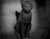 Egypt Black Cat Photograph Bastet Black and White Dark Monochrome Wall Decor Feline Grey Goth Decor