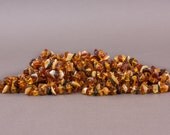 Wholesale 10 Baltic Amber teething necklaces