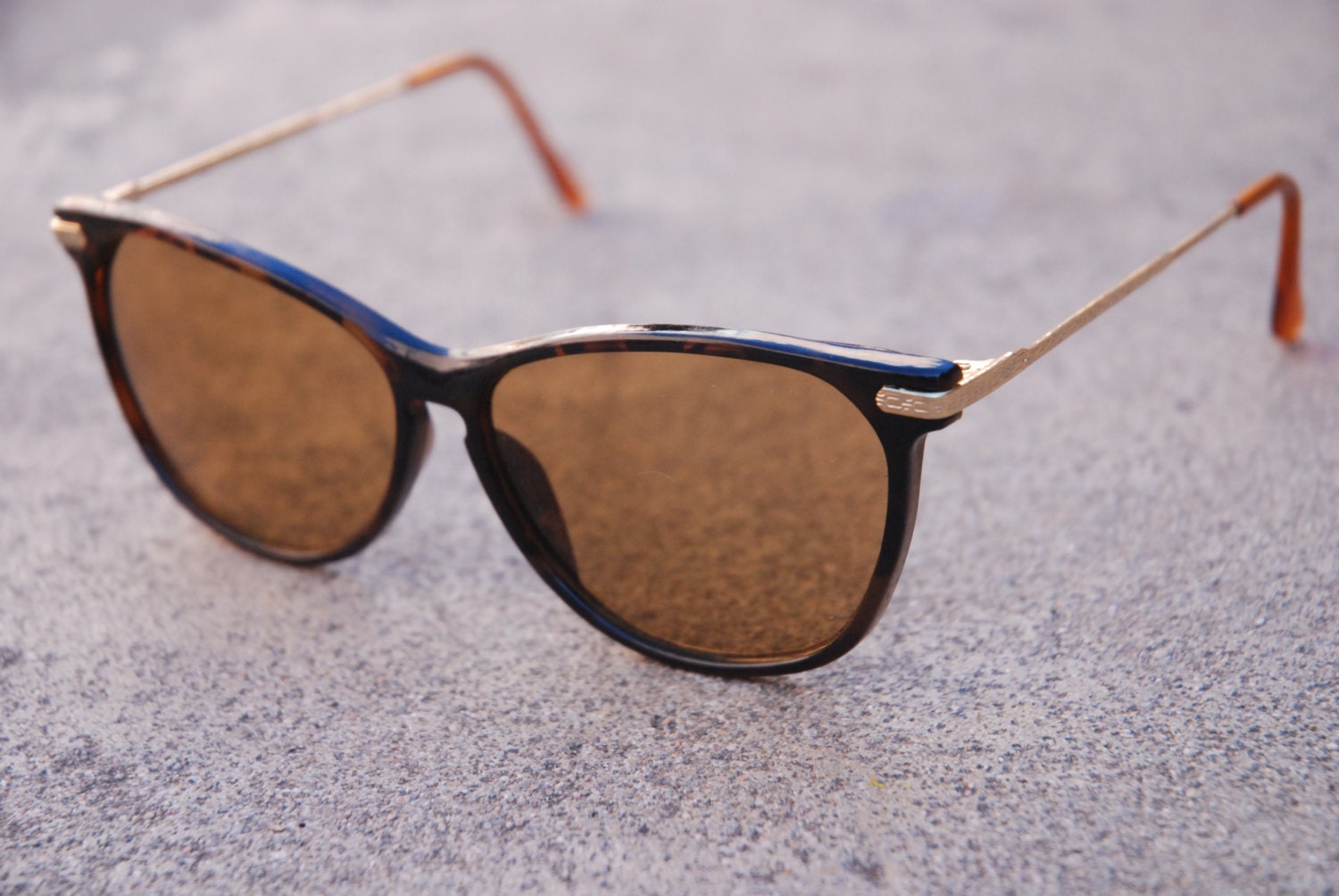 Women's Tortoise Wayfarers