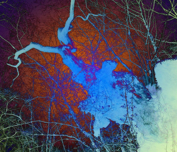 The woods are dark... 8" x 10" - abstract nature, tree woodland photography, fine art print, digital art - wall art - any size available