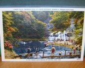 Vintage Postcard, Robert H. Treman State Park, New York 1940s Linen Paper Ephemera