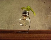 Mini recycled 25 watts light bulb vase wooden metal stand upcycled