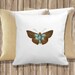 Blue Brown Butterfly Illustration, Instant Download, DIY Vintage Illustration Colored  for Iron on Transfer, Decoupage, Pillow, T-Shirt