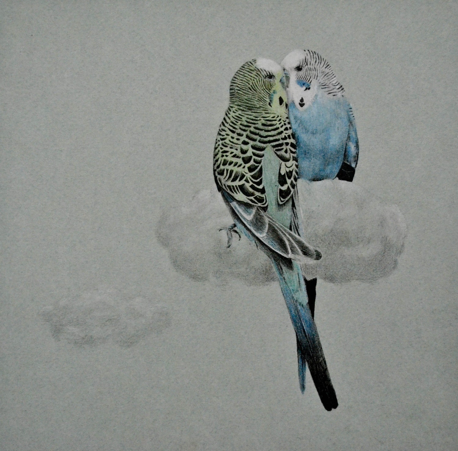 Bird Art, Limted Edition Print of Original Drawing -Nuzzling Budgies, Love Birds,Gift for Couple, Gift for Girlfriend, Love