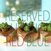 Reserved for Alanna -  red/blue/blue light